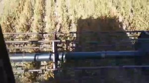 🔥УБОРКА СОЯ 2020🔥CASE