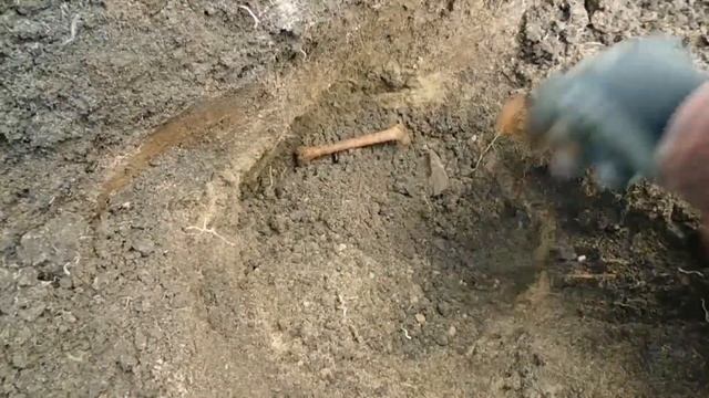 Коп с XP Deus на старинном огороде смотреть онлайн