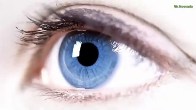 Финики хурмо смотреть онлайн