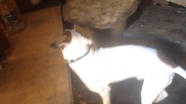 Инвалид за 10лет из камней сделал себе...2 часть смотреть онлайн