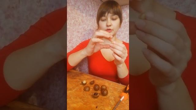Макадамия польза. Как открыть орех макадамия. Купить орех.