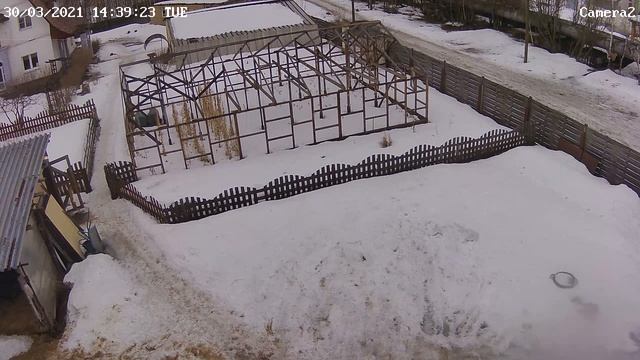 Ястреб (или другая хищная птица) у нас на участке смотреть онлайн