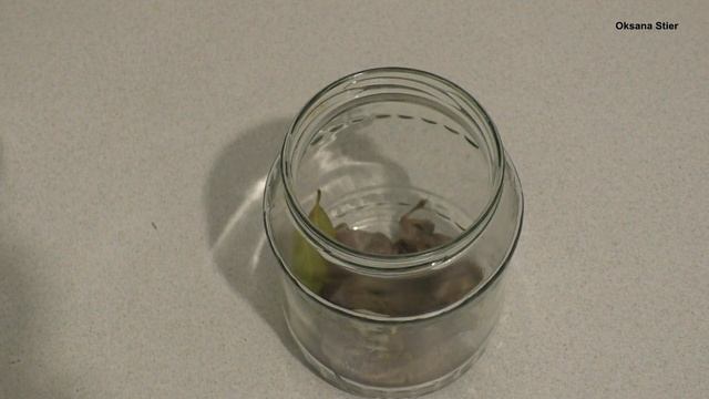 Засолка рядовок фиолетовых. Горячий способ смотреть онлайн