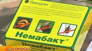 Немабакт. Средство от вредителей | Магазин "Семена Самара"