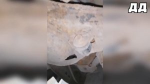 Жесть на сто или будни автосервиса #248 развалИЛОСЬ схождение автожесть