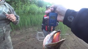 Щука на 4.500 кг круто открыл спиннинговый сезон.