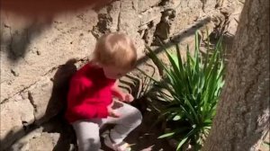 Родились у нас котята