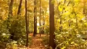 # заговор чтоб отвадить от сына беспутную подружку#