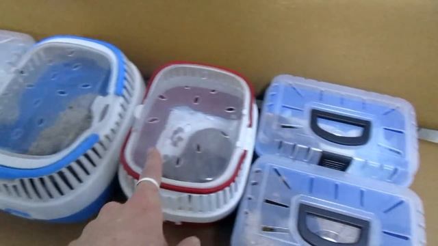 Крысы | Прощайте бубенцы, или поездка в "Ласку". (Fancy Rats | Декоративные крысы)