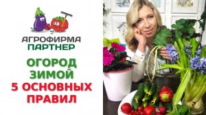 ОГОРОД ЗИМОЙ: 5 ОСНОВНЫХ ПРАВИЛ