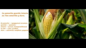 Федерико Гарсиа Лорка "Август" : разбор и осмысление