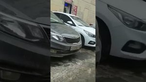 В Санкт-Петербурге полиция применила силу при задержании азербайджанеца