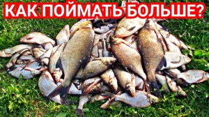 4 Секрета как Улучшить Клёв и Поймать Больше Рыбы!