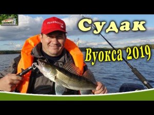 Вуокса. Рыбалка в Ленинградской области. Сентябрь 2019.