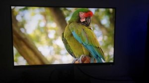 Dell 1440p, 144-165hz, G sync, 1ms  24 zoll gaming monitor S2417DG