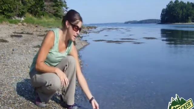 PENTAX Optio WG 2 смотреть онлайн