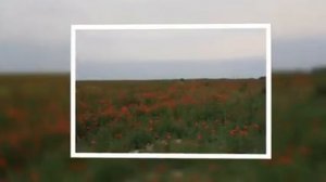 Самая симпатичная песня про горы.Чимбулак, горы Алатау