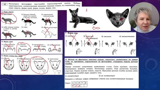 ОГЭ 2023 биология Разбор сборника Рохлова. Вариант 8 смотреть онлайн