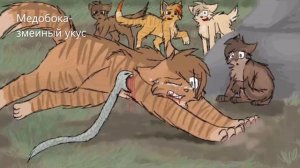 Коты Воители смерти 2