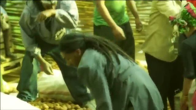 HAILE ROOTS - CHIGGAE смотреть онлайн