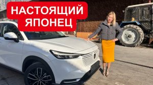 Лиса рулит - подборы, топ авто и советы
