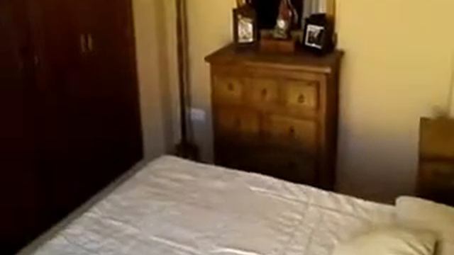 1770 смотреть онлайн