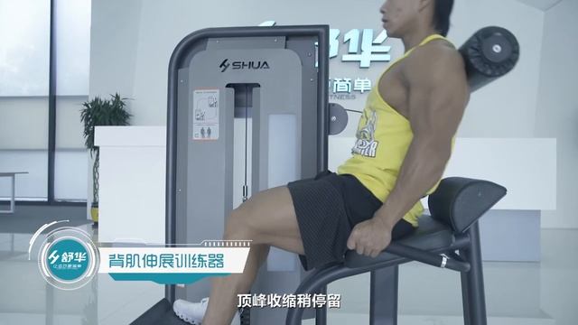 Разгибание спины SHUA SH-6817 смотреть онлайн