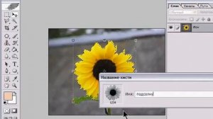 Как сделать кисть из фотографии в фотошопе?