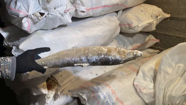 Штольня Мирный смотреть онлайн