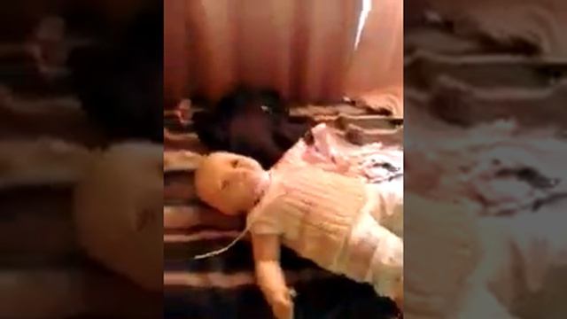 Ana margarita petunia larrobete смотреть онлайн