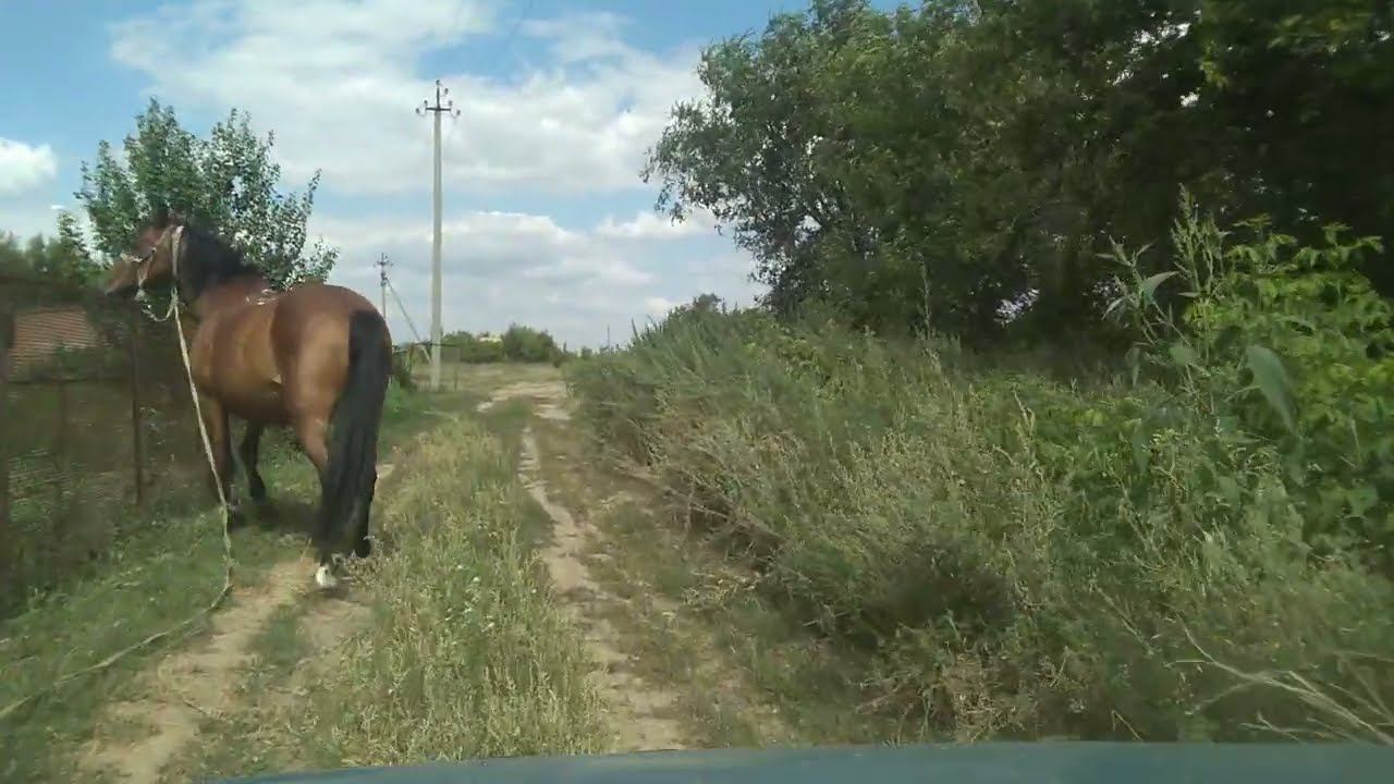 Посёлок Опытная Станция, Питерский район.