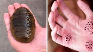 Если Увидите ЭТО в Воде, Сразу Же Выбирайтесь Из Нее