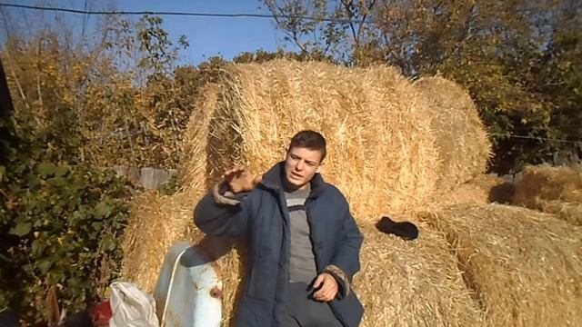 5 причин не заводить кроликов//Жизнь в деревне смотреть онлайн