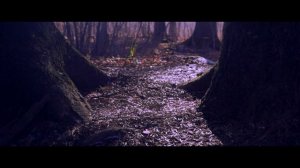 приморский край