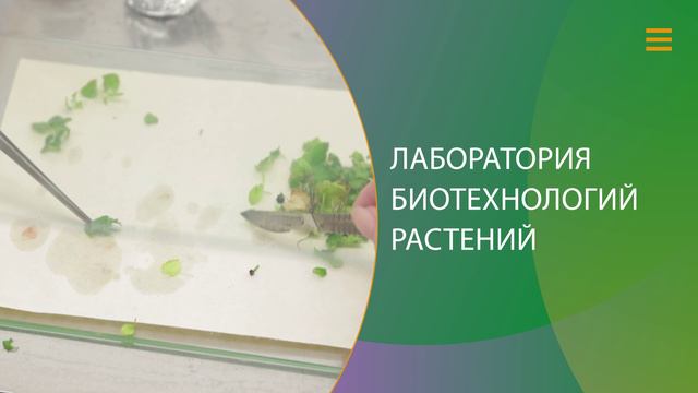 Ботанический сад НИУ "БелГУ" отмечает своё 25-летие