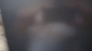 Обзор твердотопливного котла ИГНИС ПРО ТК 300 мощностью 330 кВт