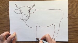 Как нарисовать корову. How to draw a cow