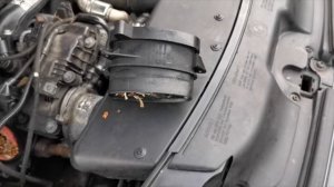 BMW X3 E83 БМВ 3.0 Дизель Расходомер Ошибка 3FF0, Luftmassenmesser LMM MAF Flow Meter