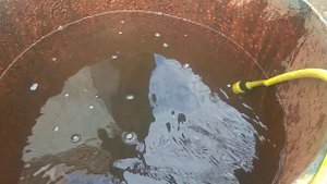 Новый аквариум для карася