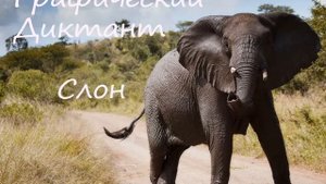 Графический Диктант Слон