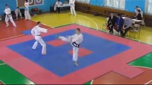 Тхэквондо ГТФ