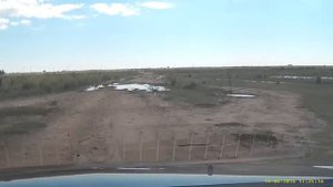 Ковыль цветет в Кулундинской степи
