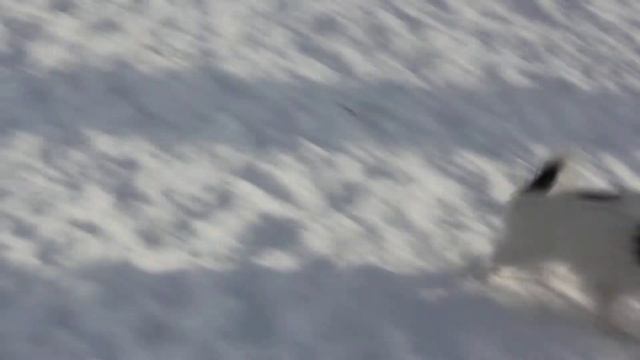 5в смотреть онлайн