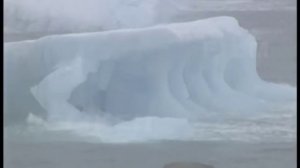 Земля Франца Иосифа (ЗФИ)