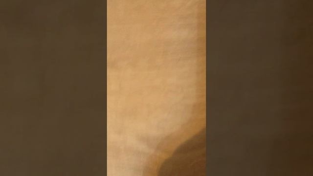 19 октября 2023 г. смотреть онлайн