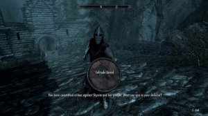 Skyrim SE: Elwyn Follower Mod (Xbox One/PC)