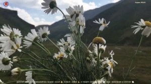 Как приятно журчит вода, Бурши, Лакский район