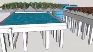 Аквапоника. Aquaponics system