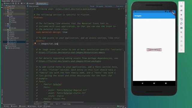 Flutter Tutorial for Beginners #10 - Using Images in Flutter - Assets in Flutter