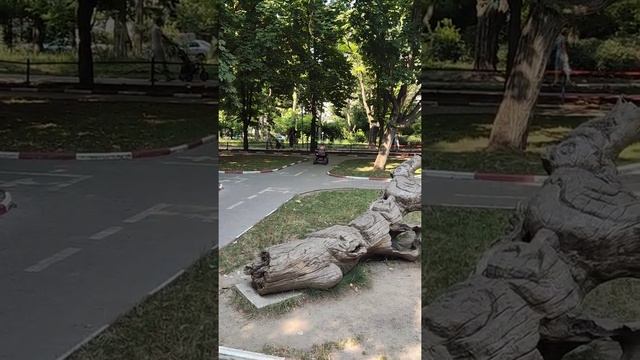 Гонщица смотреть онлайн